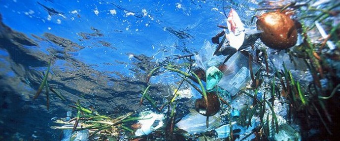 Where have millions of tons of plastic gone in the oceans?