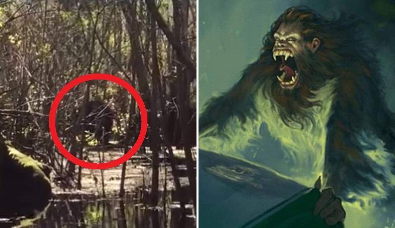 The legendary skunk monkey photographed in the swamps of Florida