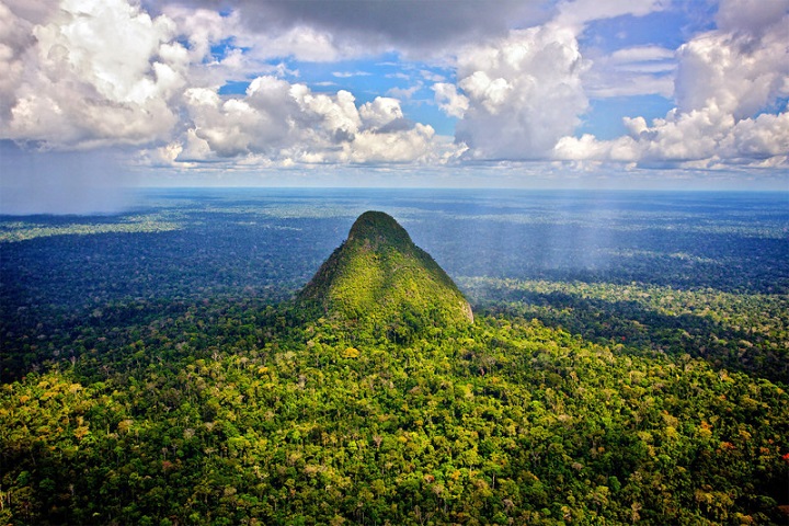 Amazonian forests will cease to absorb carbon dioxide in 10 years