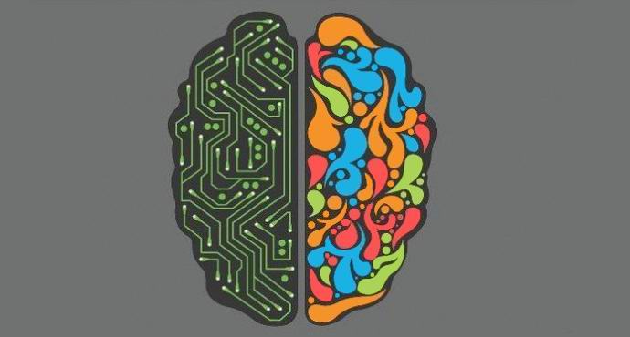 The left and right hemispheres of the human brain are not divided into emotional and logical