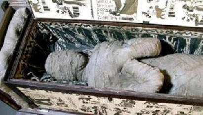 The boy found the Egyptian mummy in the grandmother's attic