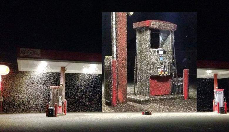 Millions of insects attacked gas stations in Louisiana