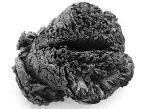 This brain is 4 thousand years old