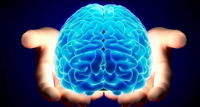 The human brain is capable of storing a whole petabyte of data