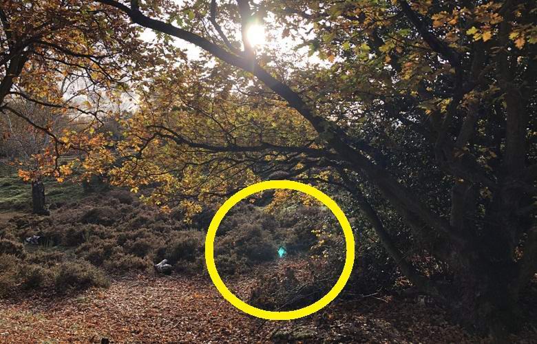 A man accidentally photographed a portal in a different dimension