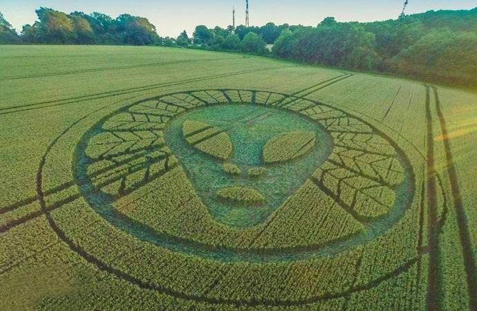 A circle with a striking pattern appeared in the English field