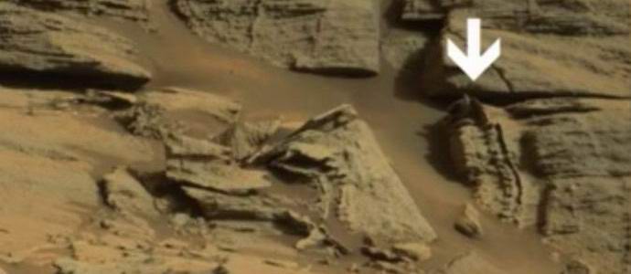 The skeleton of an alien reptile was discovered on Mars