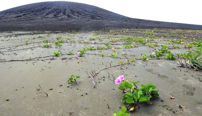 Mysterious dirt found on the newly formed island