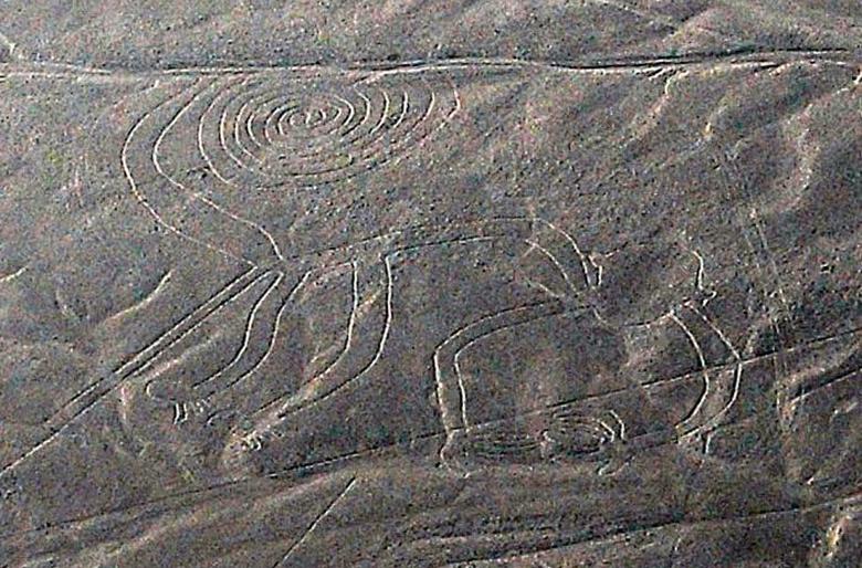 New geoglyphs discovered on the Nazca plateau