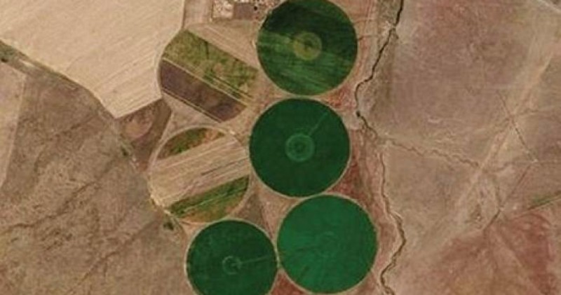 Giant circles of green are seen on the fields of Kazakhstan
