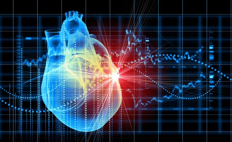 Found a way to restore heart after a heart attack