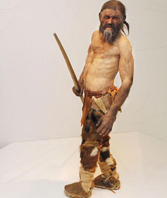 The Otzi mummy was discovered in the Alps in 1991. A few years ago restored the appearance of the ancient Alpine.