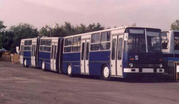 Funny bus bus, unusual