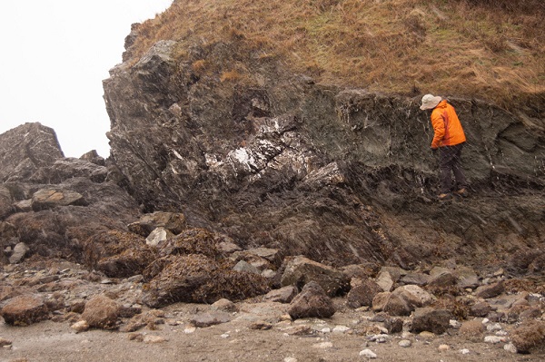 Found bacteria living underground at a depth of 19 km