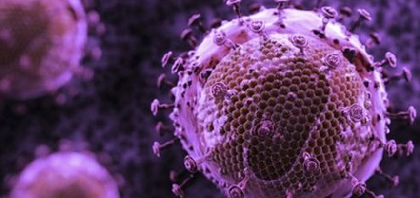 A medicine has been discovered that is equally effective against cancer and the AIDS virus.