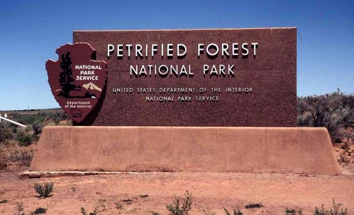 Petrified Forest in the USA