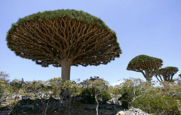 Galapagos Island in the Indian Ocean