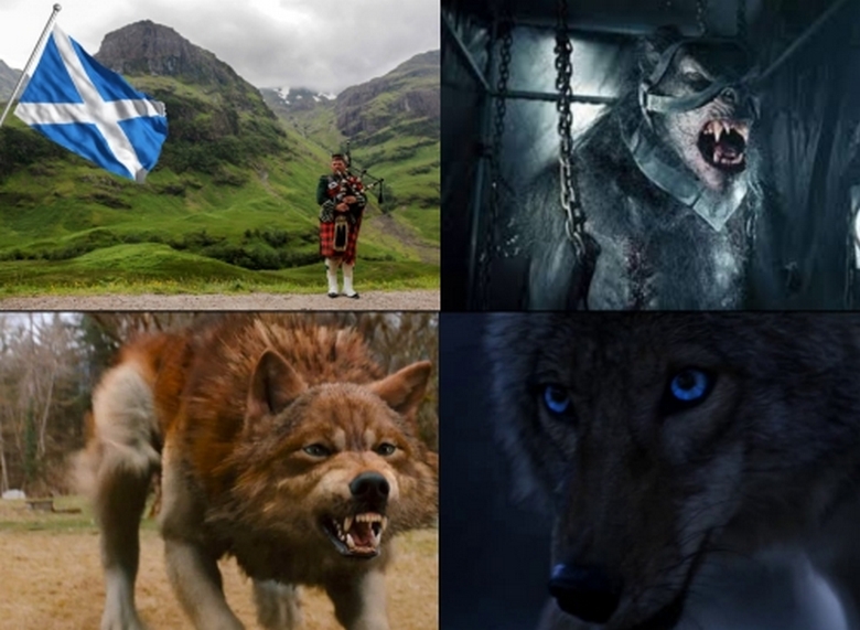 Werewolves roaming Scotland?