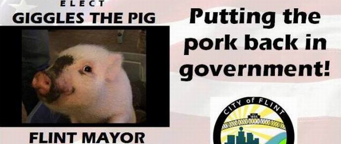 They want to make a pig the mayor of the American city