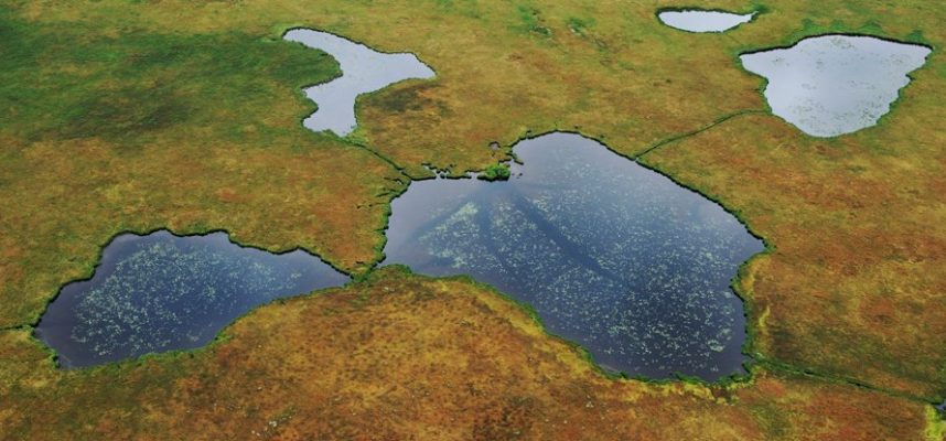 2 ° C rise in global temperature could open up 230 billion tons of carbon reserves 