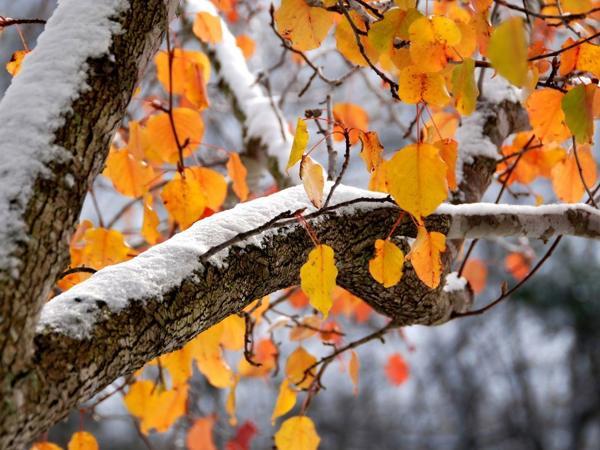 Signs, customs and conspiracies for November 18 - the day of Galaktion, Epistimia and Jonah 