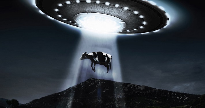 Aliens abduct Argentinean farmers' cows