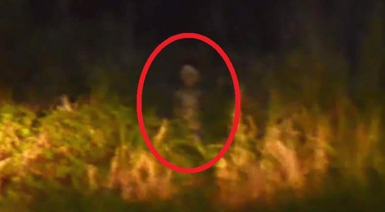 The alien on the side of the road got into the lens of the DVR