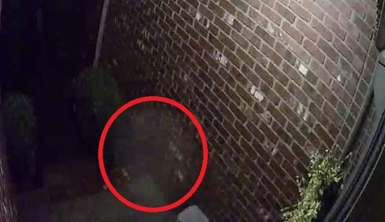 Ghost descends the stairs in a mysterious video