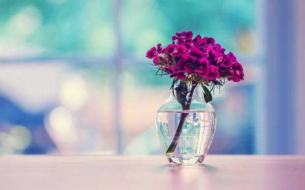 What to do with a broken vase? 