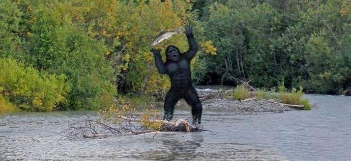 The fisherman filmed a bigfoot in a video