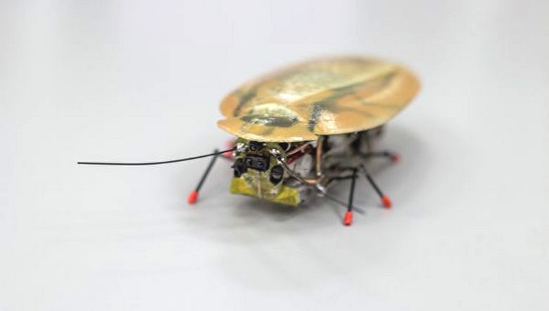 A cockroach robot is beyond praise