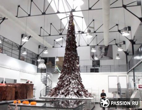 Chocolate tree