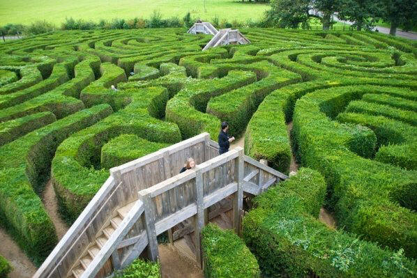 The world's longest maze