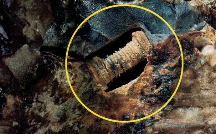 The oldest artifact is a 280 million year old bolt.