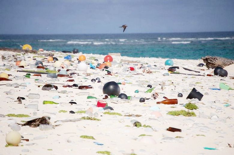 The most polluted plastic island in the world - a UNESCO World Heritage Site