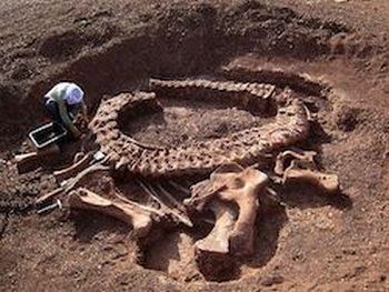Scottish paleontologists have found the remains of an ancient monster ... in a museum