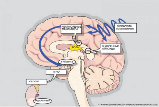 The Power of Persuasion - The Medicine of the Future