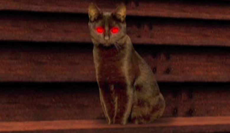 Singaporeans claim to have filmed a ghostly cat in their apartment
