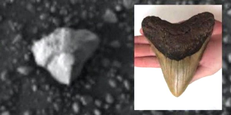 Scott Waring found in a photograph from Mars