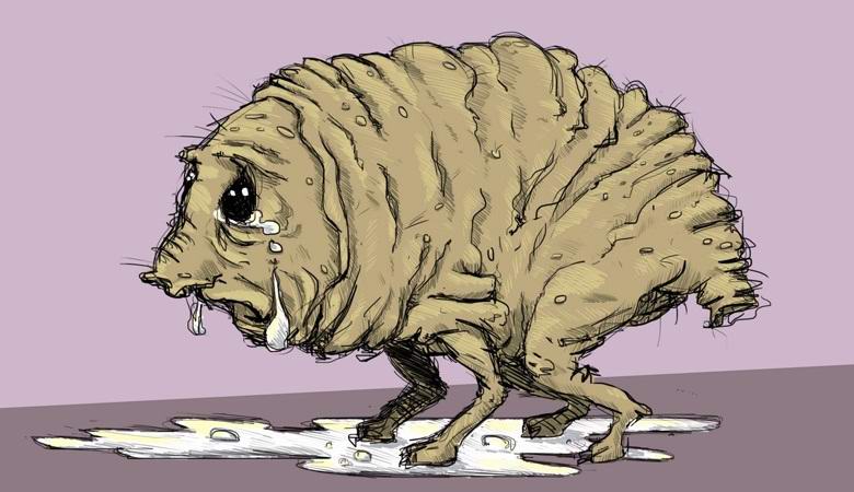 Squonk is the most miserable and ridiculous cryptid in the world.