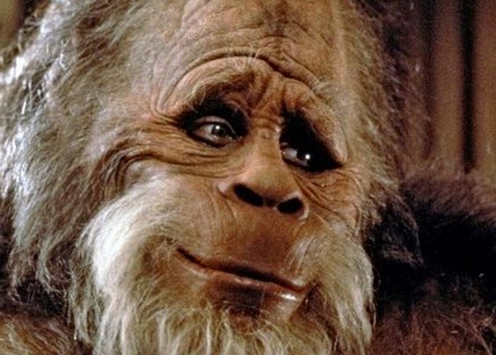 Bigfoot turned out to be a rapist