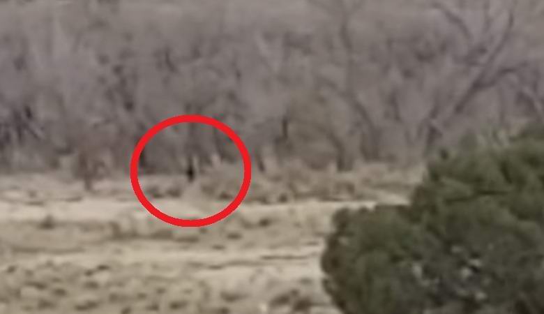 Bigfoot hit the video on the Indian Reservation