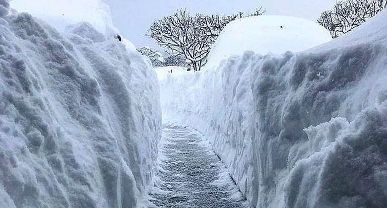 Again Russia is to blame: now in the unprecedented frosts that hit the United States