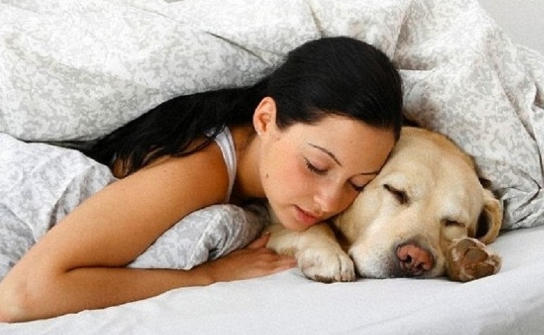 The dog will help you sleep soundly