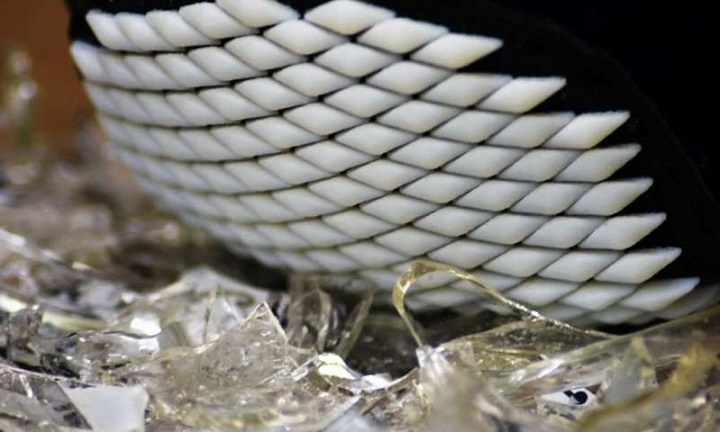 A new design of movable armor has been created, which scientists have spied on the shell mollusks