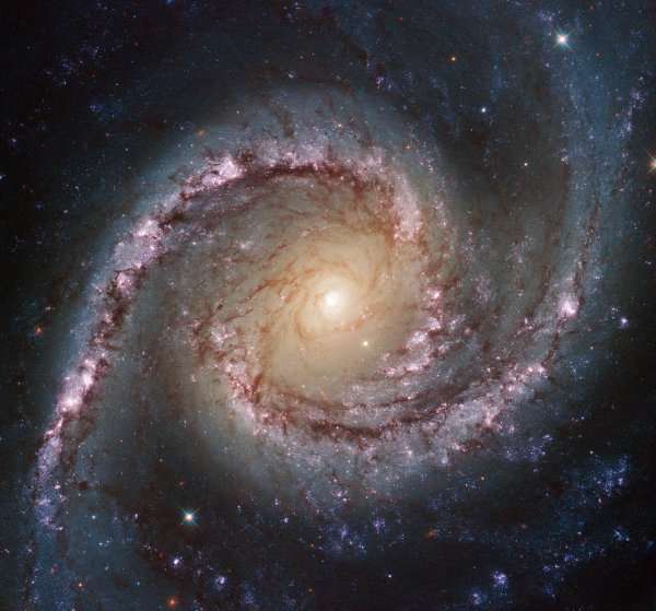 Spiral galaxy from the constellation Golden Fish