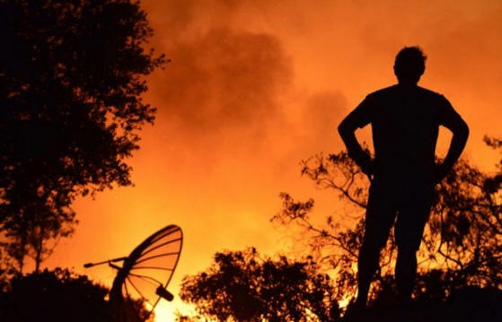 The Daredevils Remaining Near Their Homes Watch the Nightmare