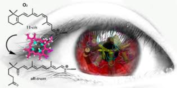 There is a cancer treatment that gives people 'night vision', and now we know why 