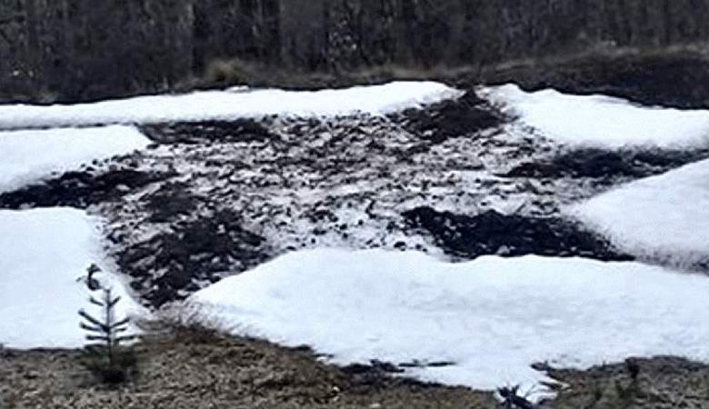 Mysterious figures in the snow appeared in Argentina