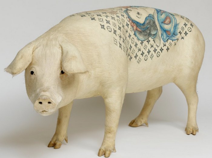 Pig Tattoos as a Business